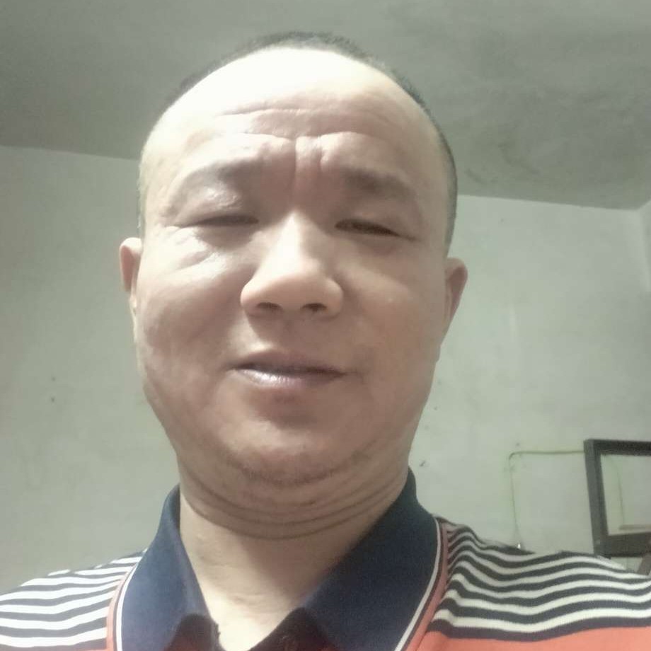 落寞凝眸白猫的照片