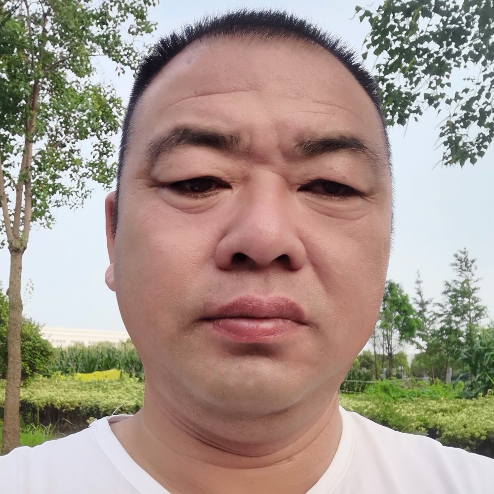 猫咪没了鱼lzr的照片