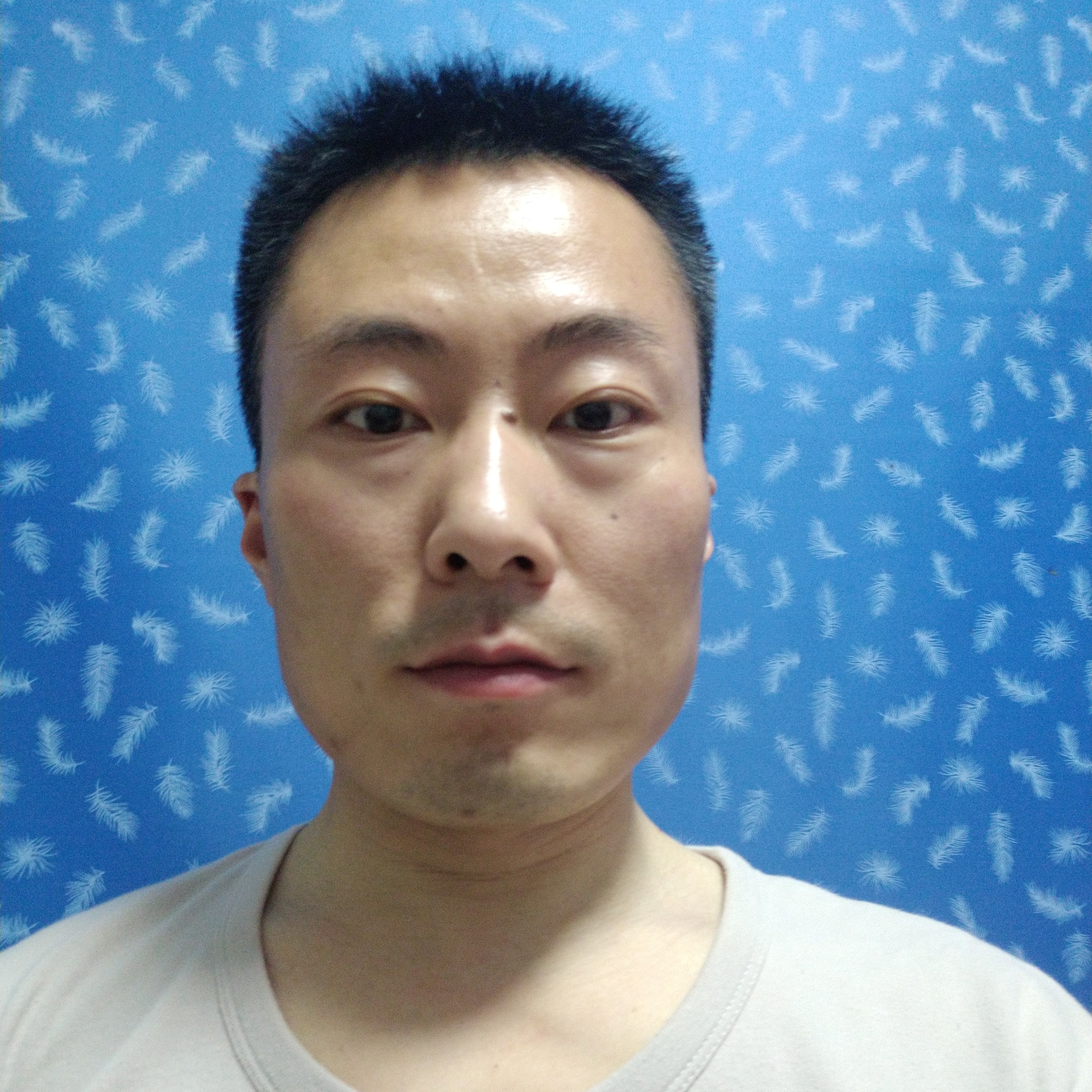 长颈鹿暧昧的照片