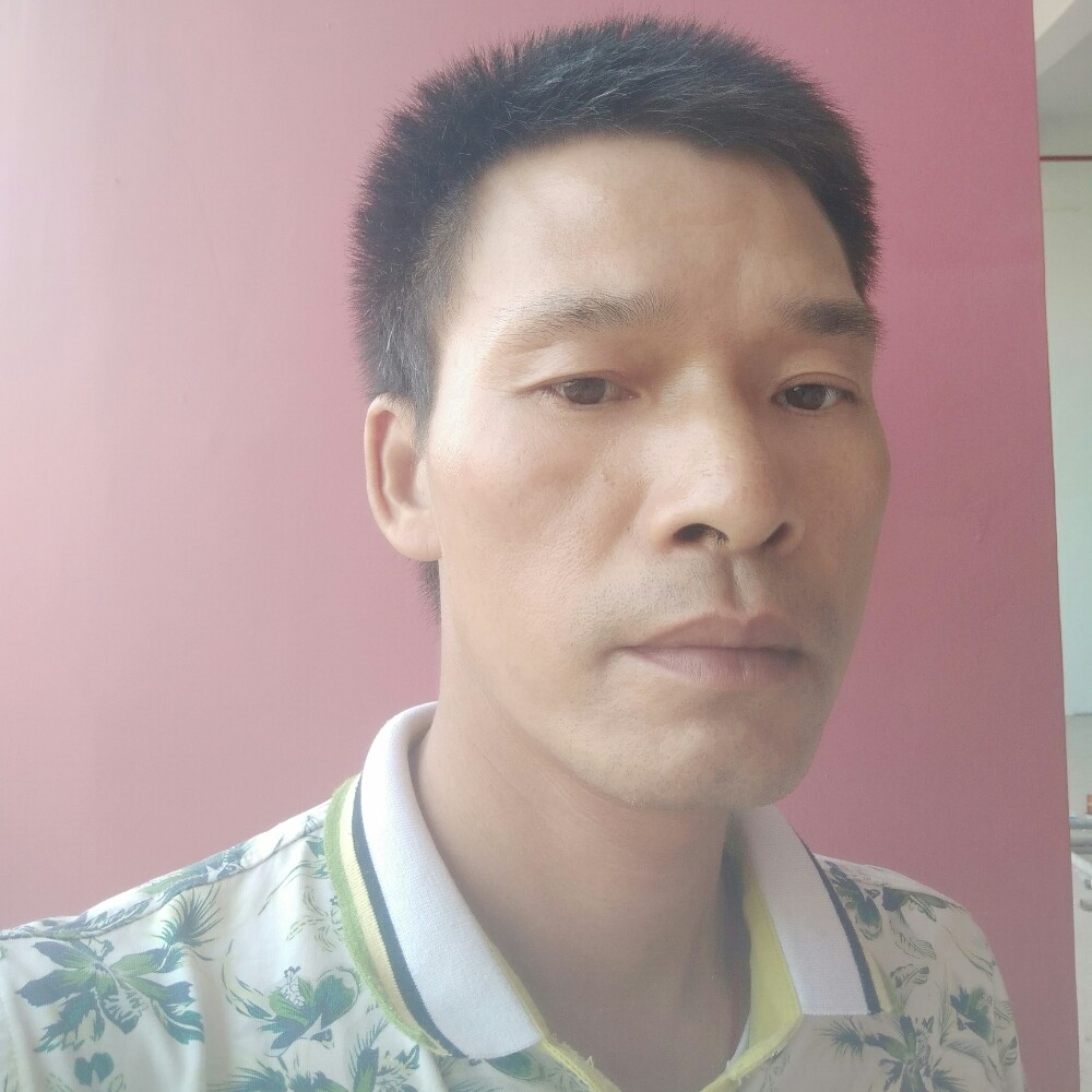 风速~落叶的照片