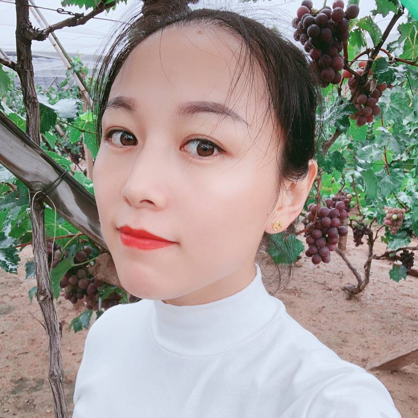 绚烂树叶的照片