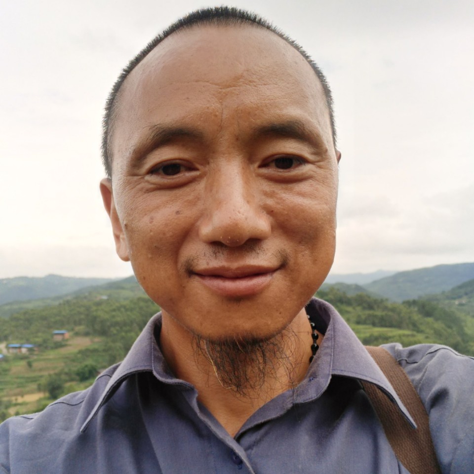 自觉倾心奇异果的照片