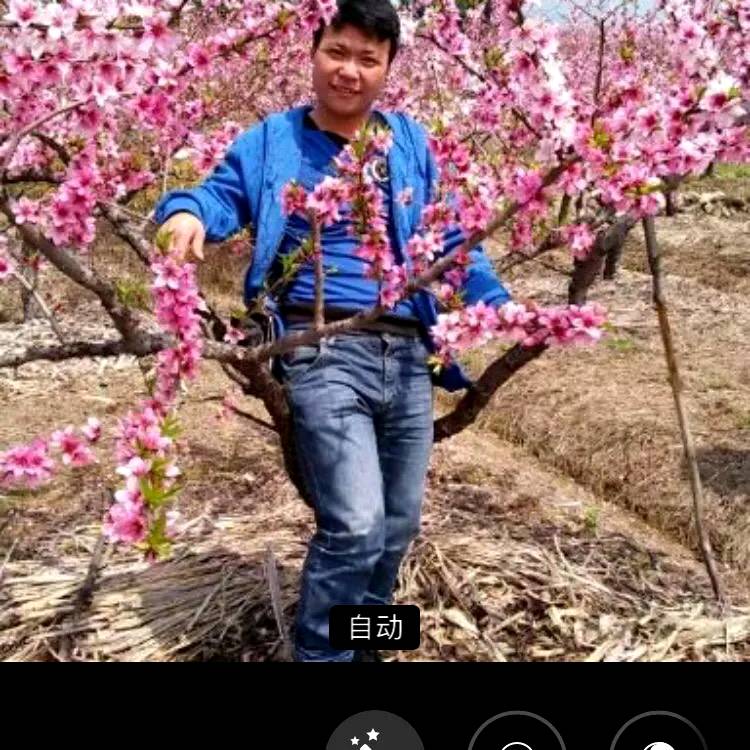 超短裙直率的照片
