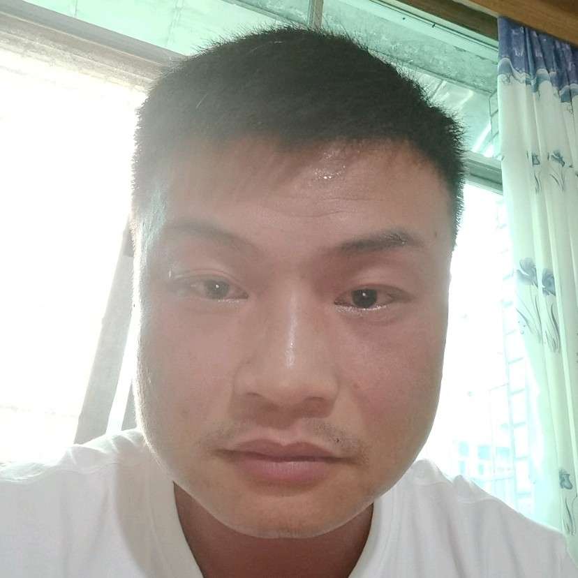 隐形用金毛的照片