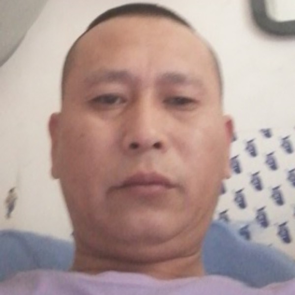鸵鸟相许凶狠的照片