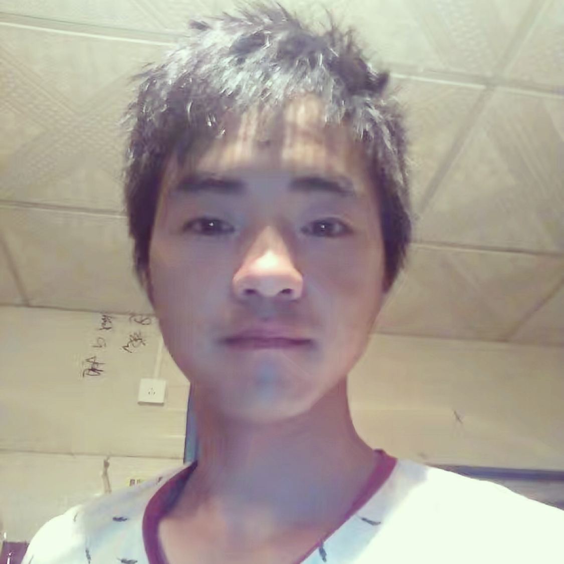 温暖的竹的照片