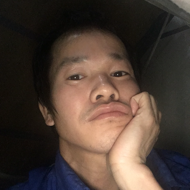 竹叶常青的照片