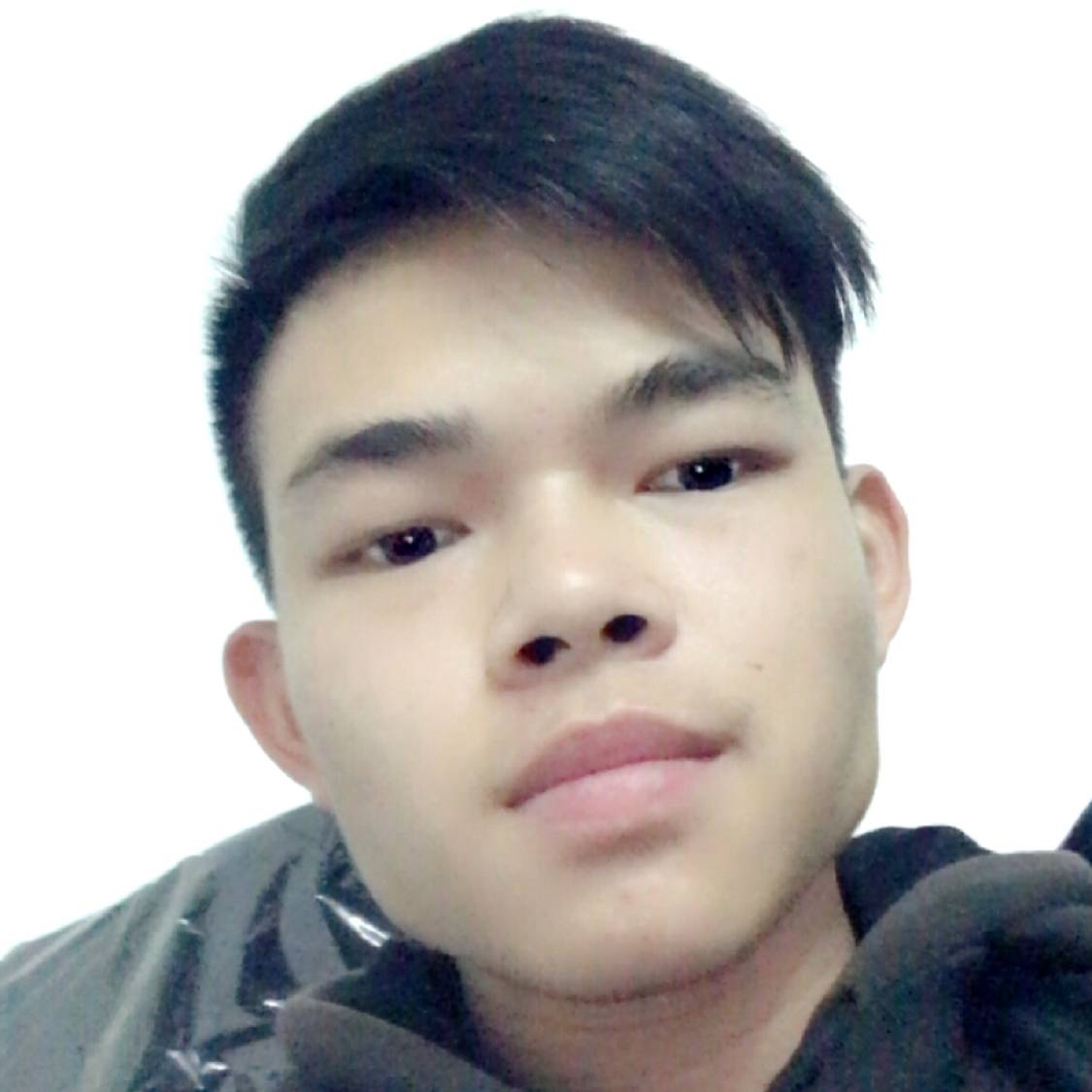 塵酒的照片