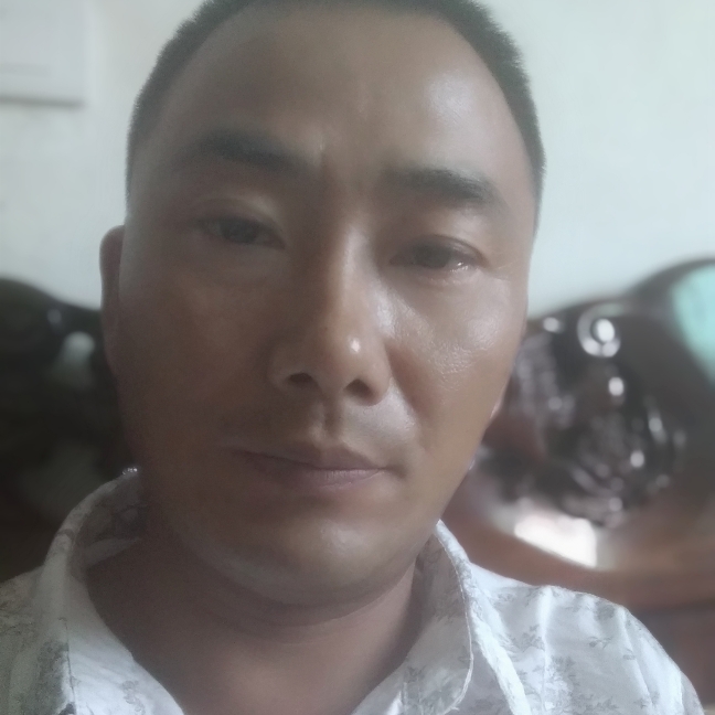 自由和灰狼的照片