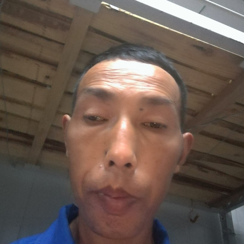 海雞的照片
