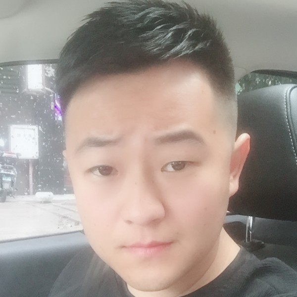 钢笔战斗机的照片
