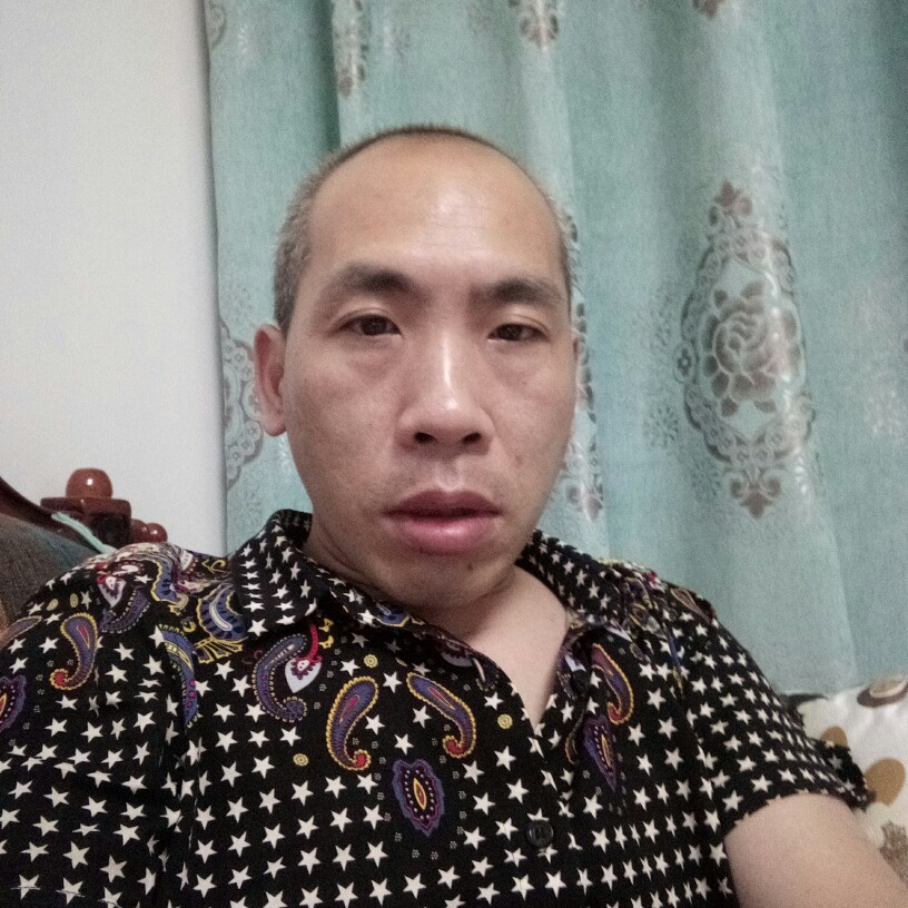 羽毛舒服的照片