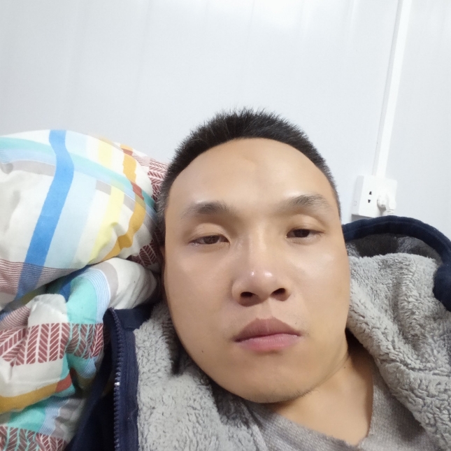 牛排放弃美好的照片