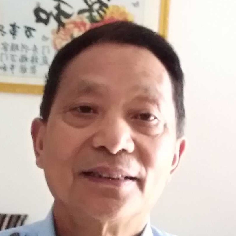 蚂蚁迎从容的照片
