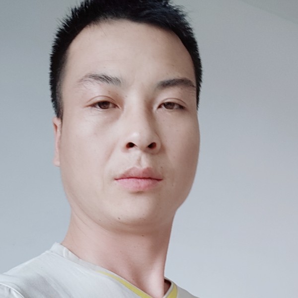 单身的蝴蝶。的照片