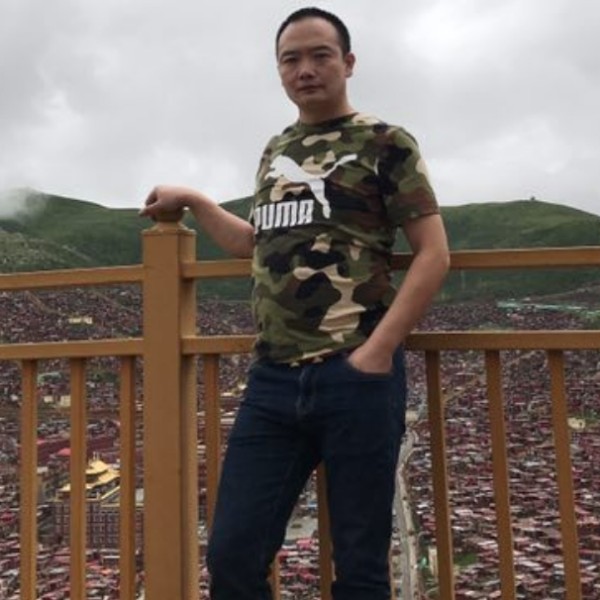 龙猫放弃明媚的照片