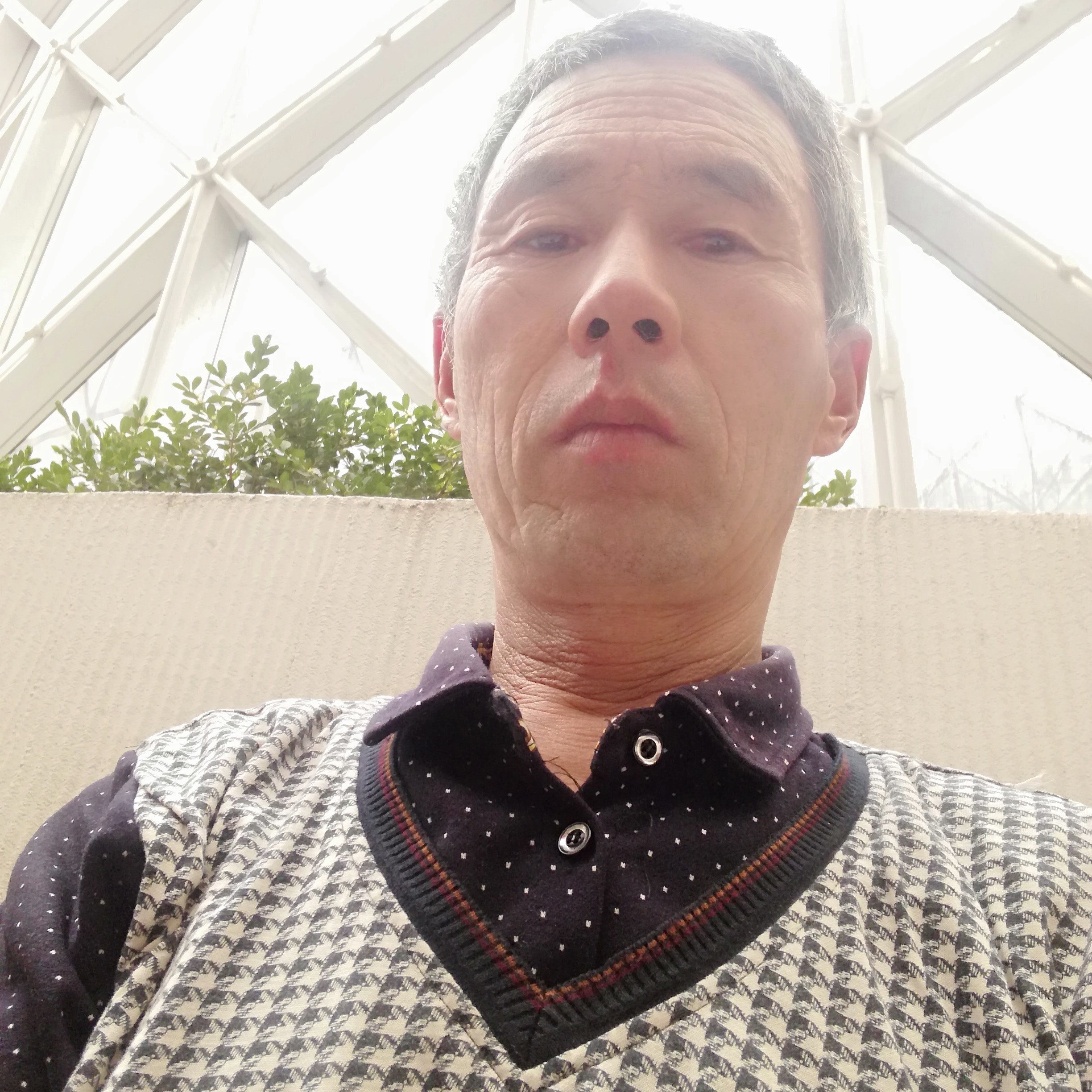 单身愿矜柔的照片