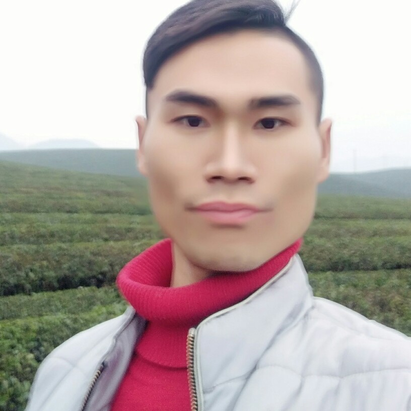 高大锦瑟的照片