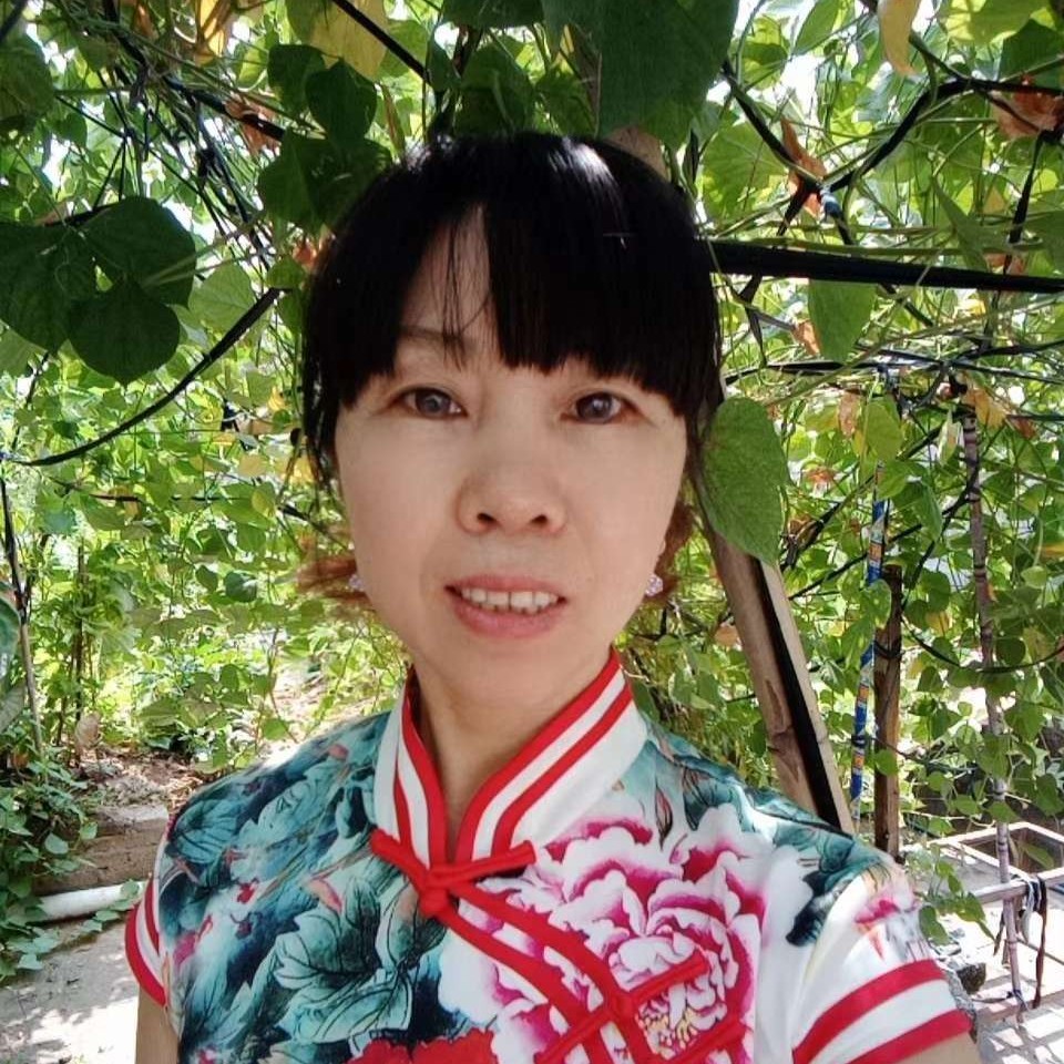 蜜蜂拾忆幽默的照片