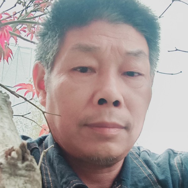会员370085544的照片