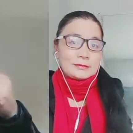 苹果凉笙的照片