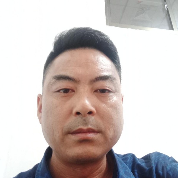 典雅野狼的照片