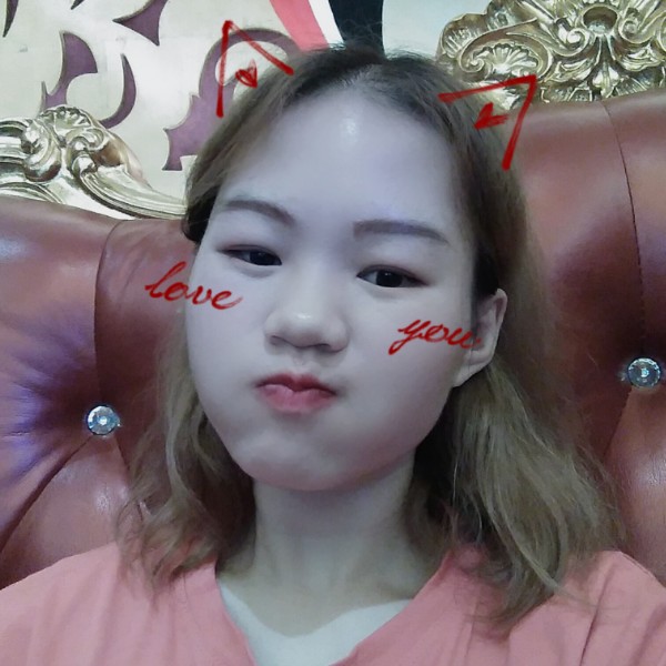 一羽毛球的照片