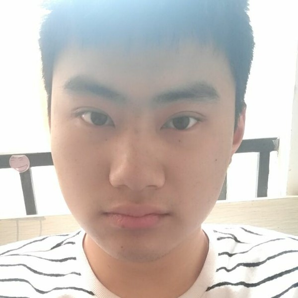 诚实的涂涂的照片
