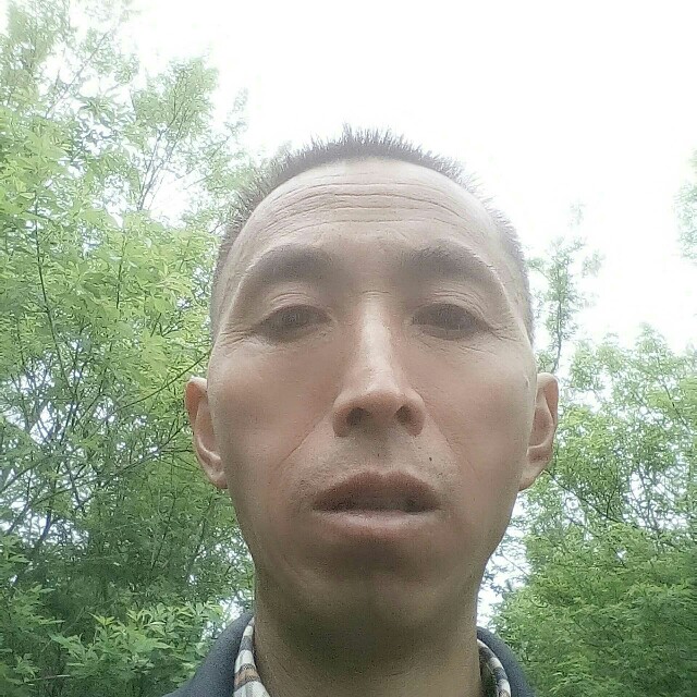 月光甜美的照片