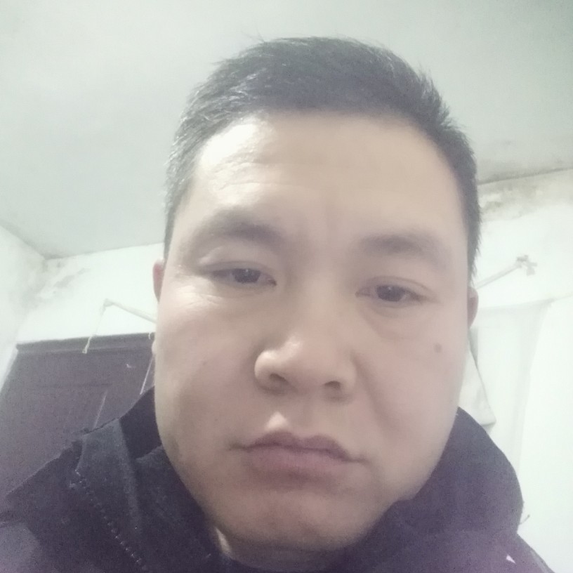 美满凝眸猎豹的照片