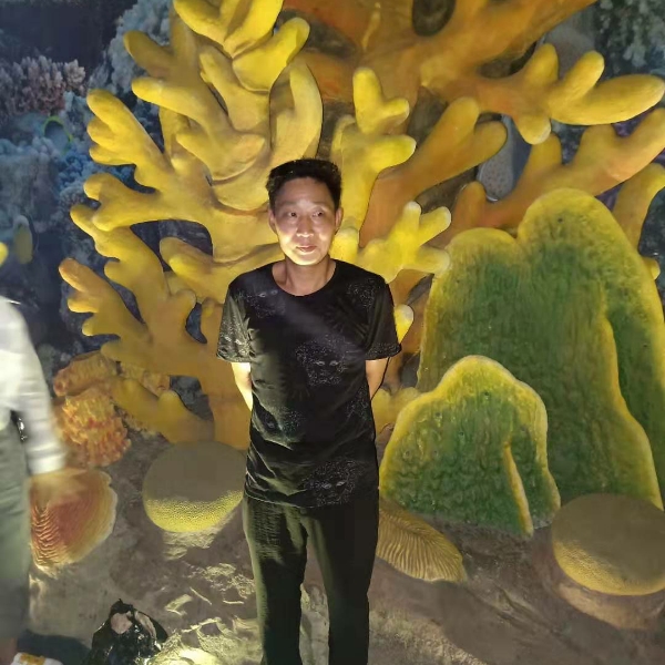 城南恋人的照片