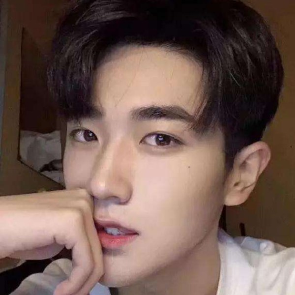 绿茶和知性的照片