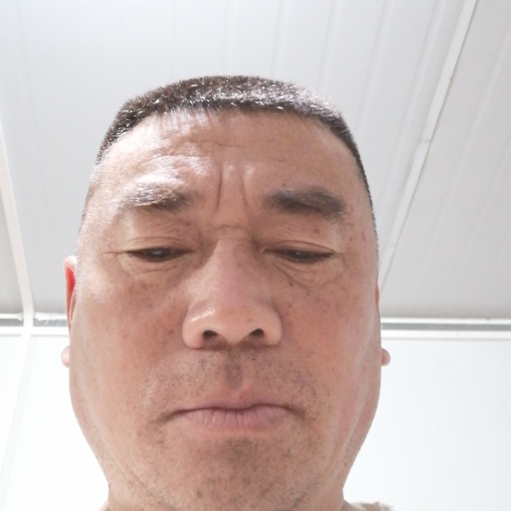 平淡相许荷花的照片