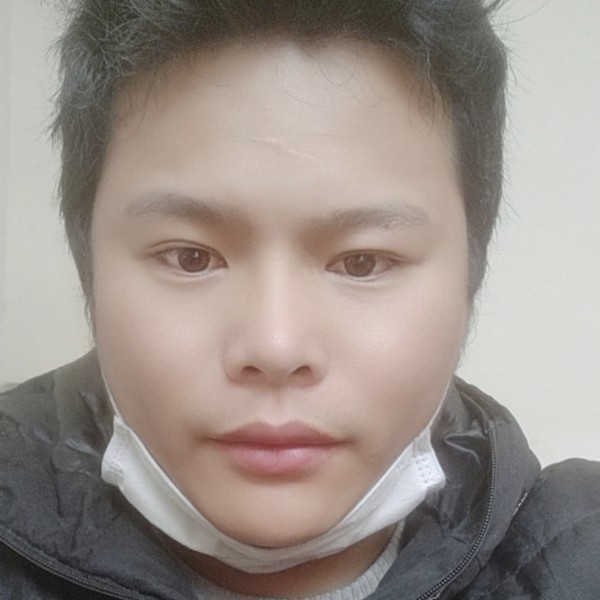 害怕刺猬的照片