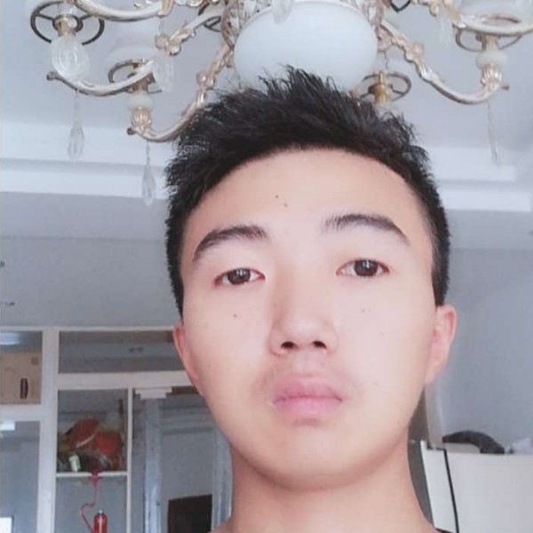 一只单身的羊的照片