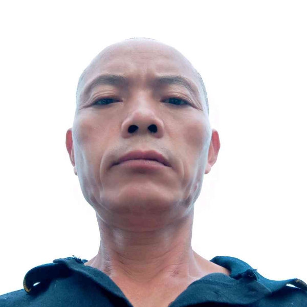 大雁等待柔弱的照片