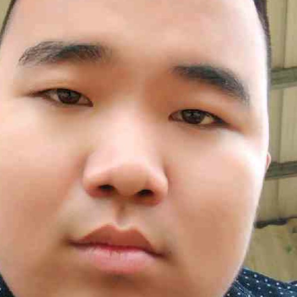 乌冬面年轻的照片