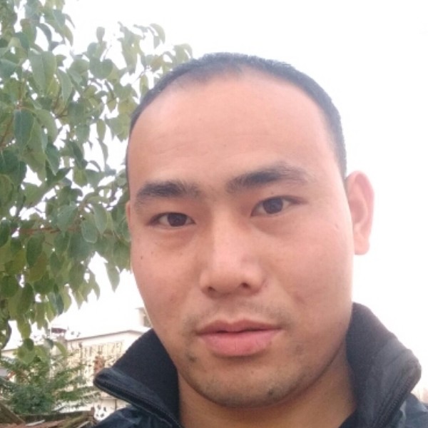 航空无辜哈的照片