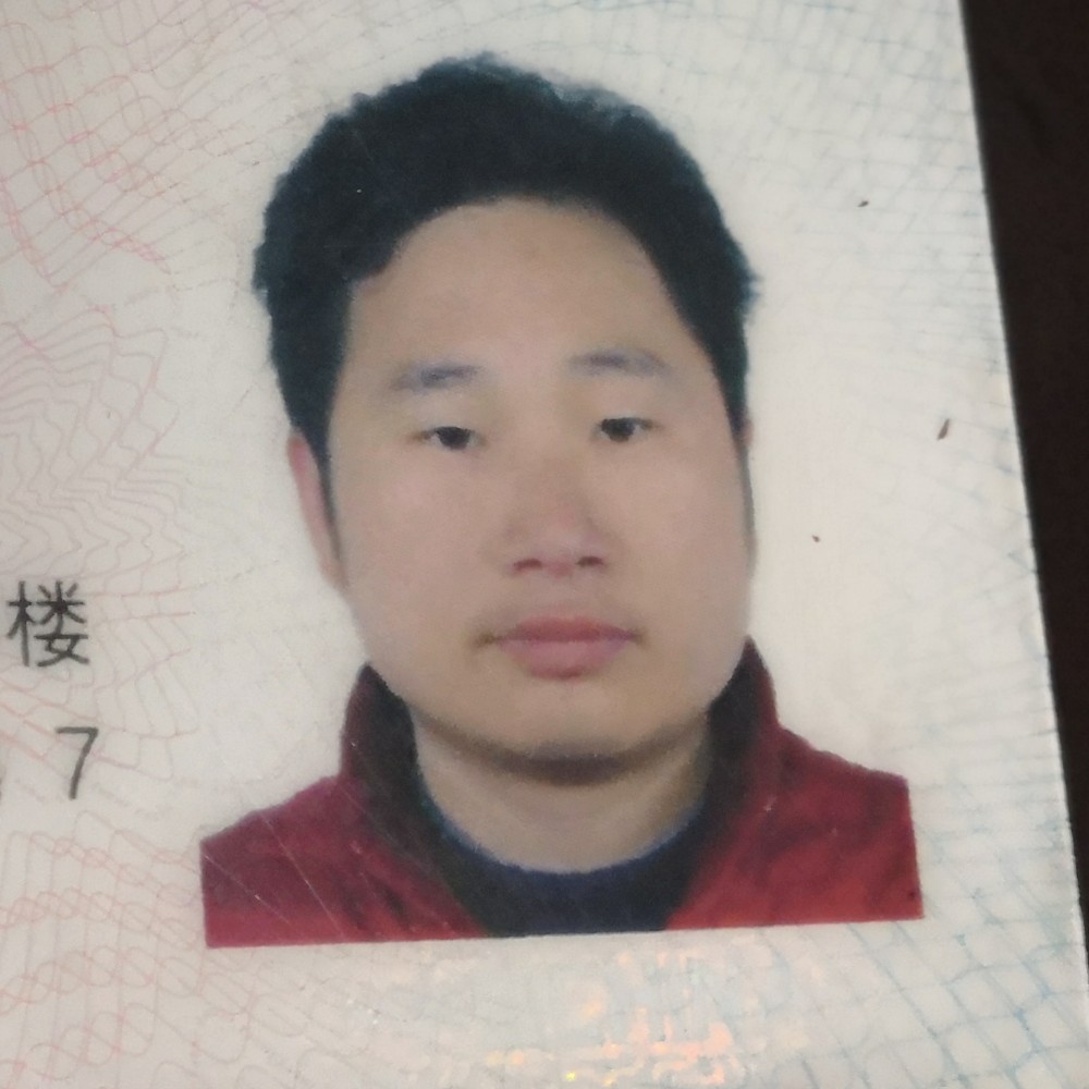 灰狼怕黑的照片