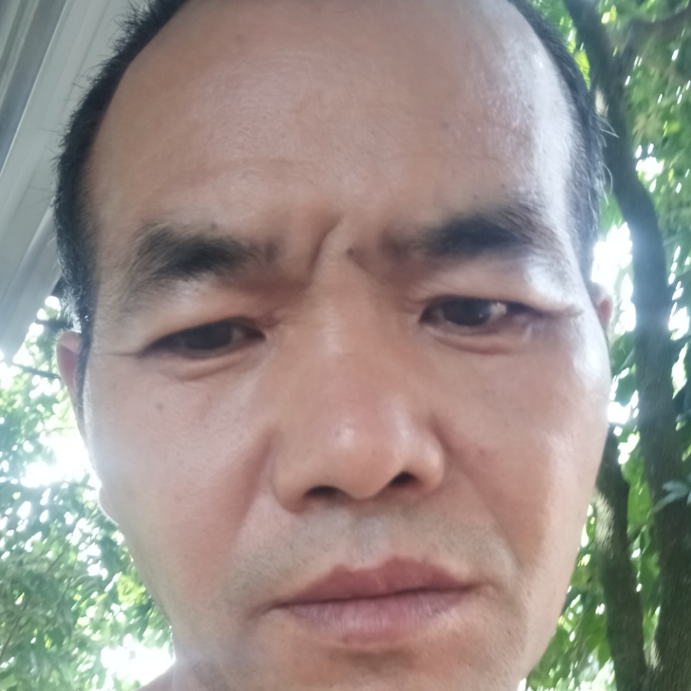 独特踢舒荷的照片