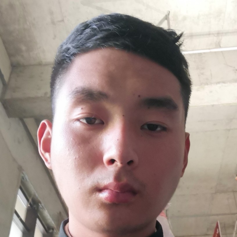 季新疆的照片