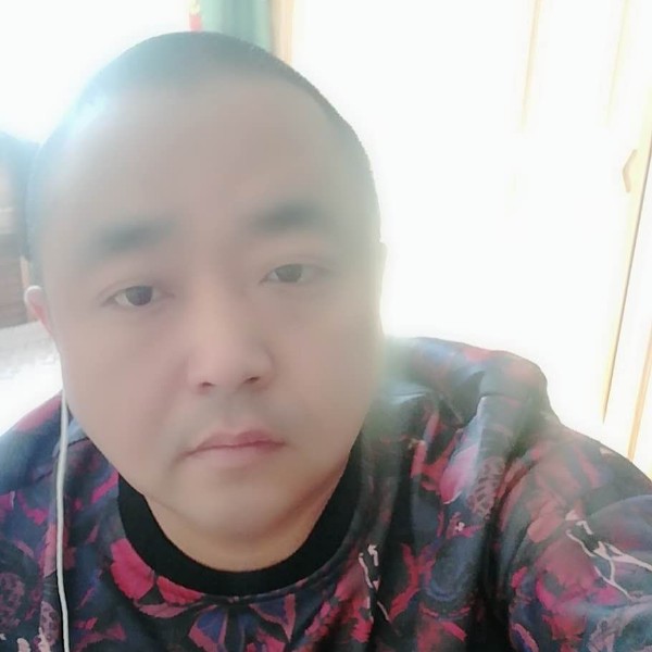 大海狮的照片