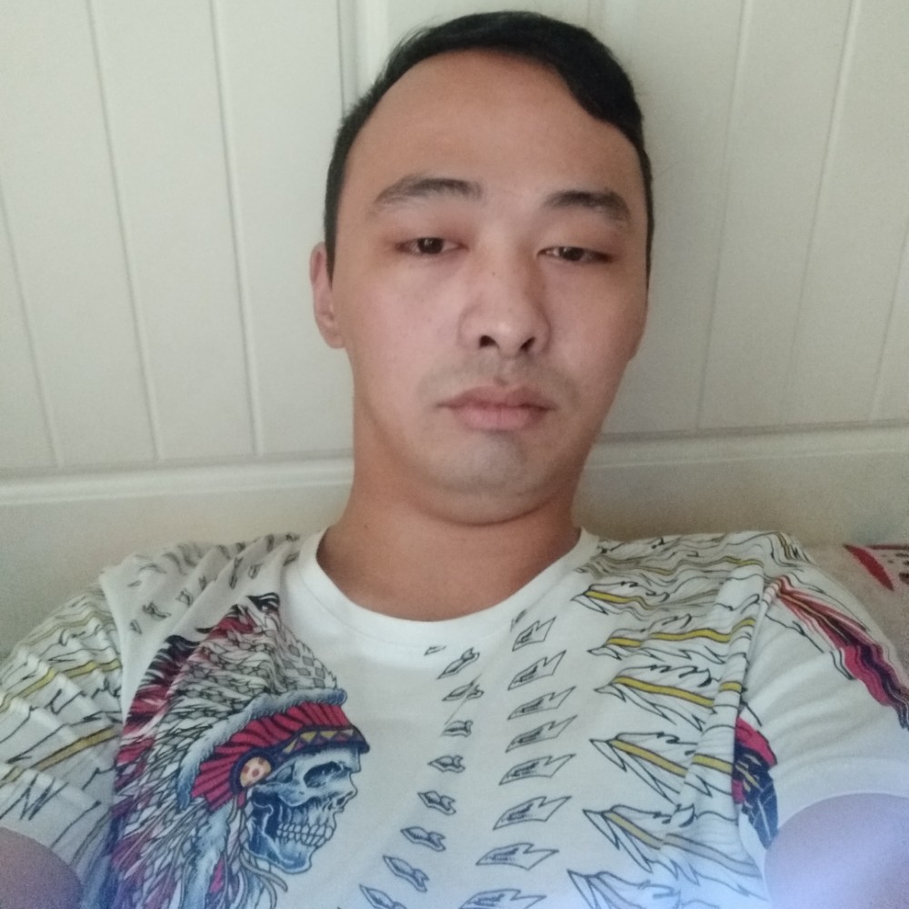 小天鹅的漂亮的照片