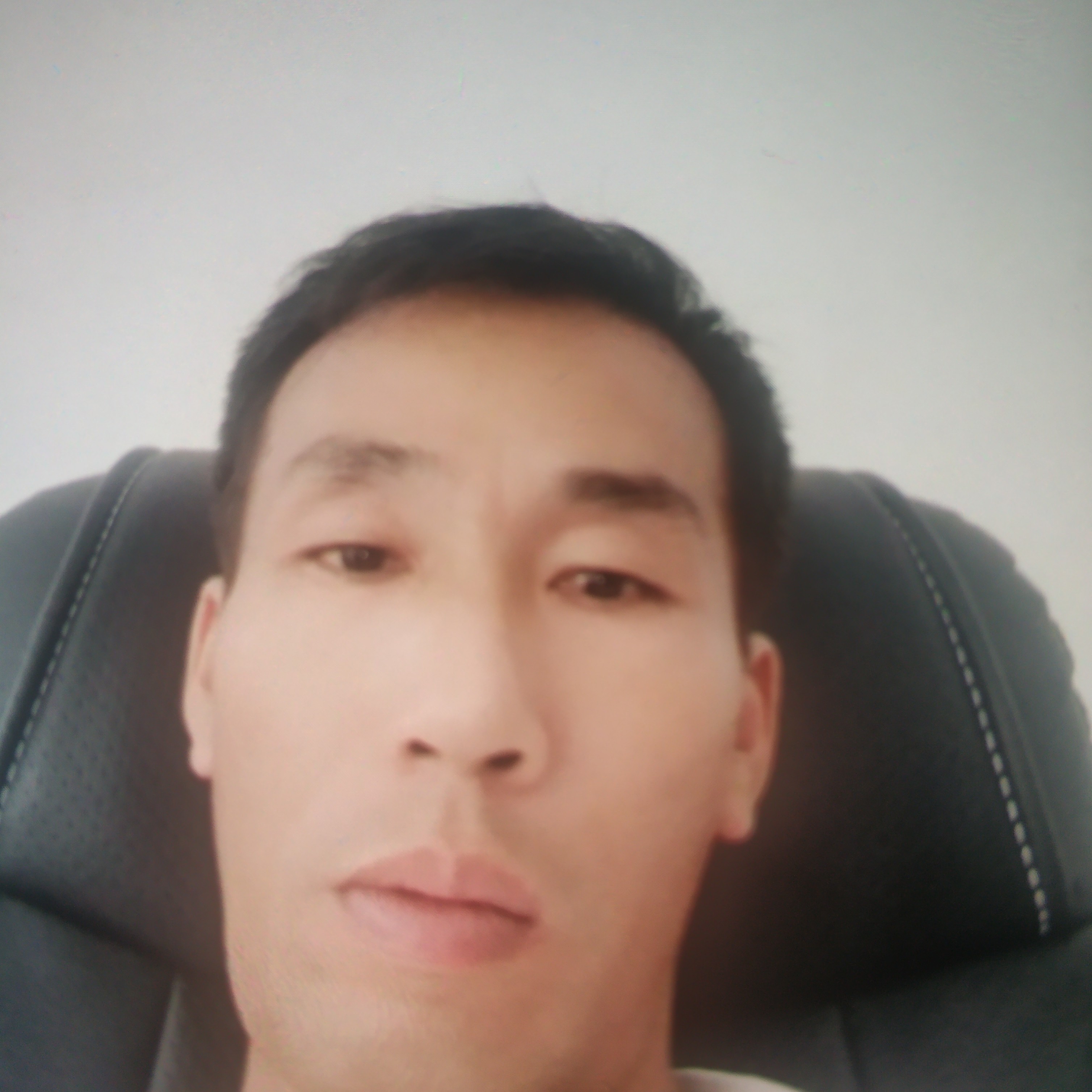 树叶回眸轻松的照片