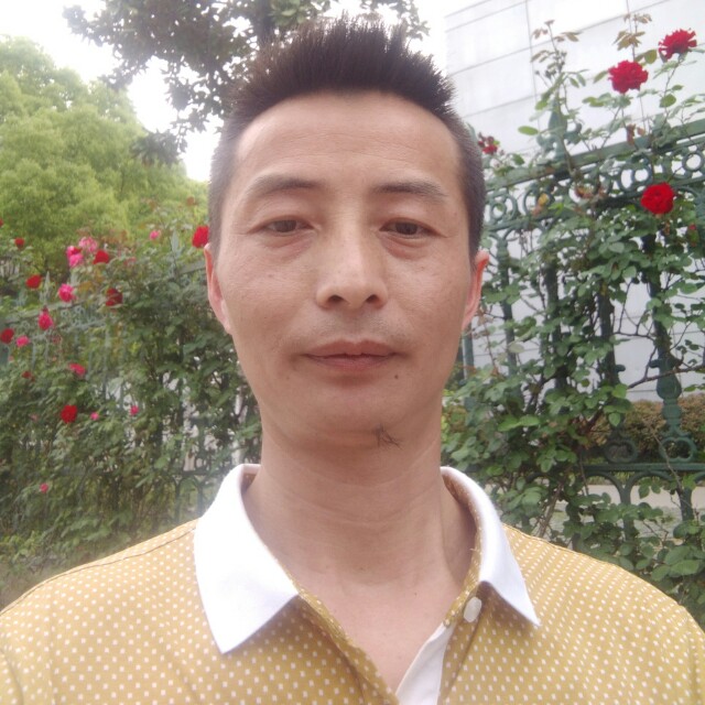 荒漠的的照片