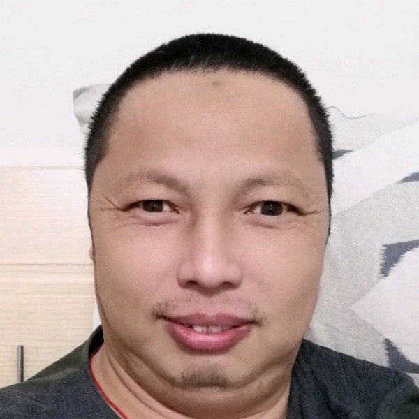 树叶舒适的照片