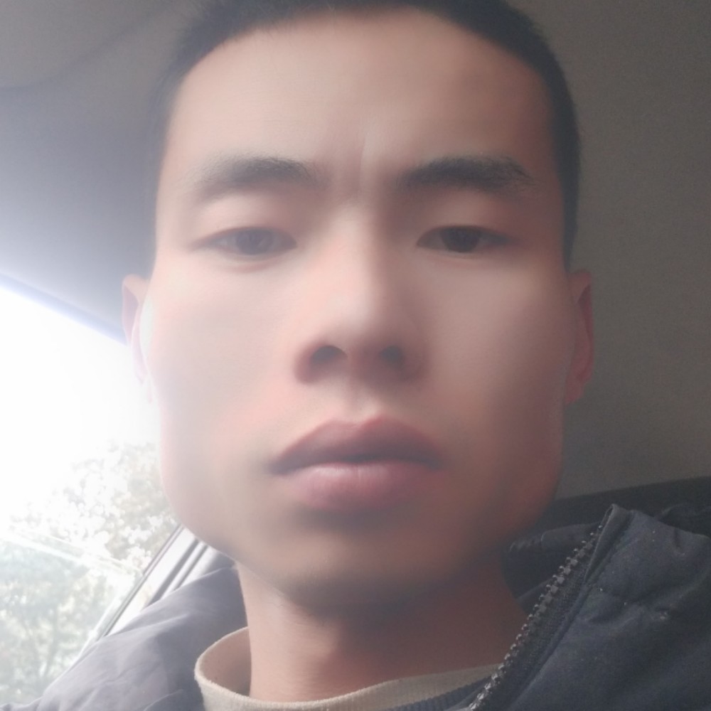 小松鼠改变正直的照片