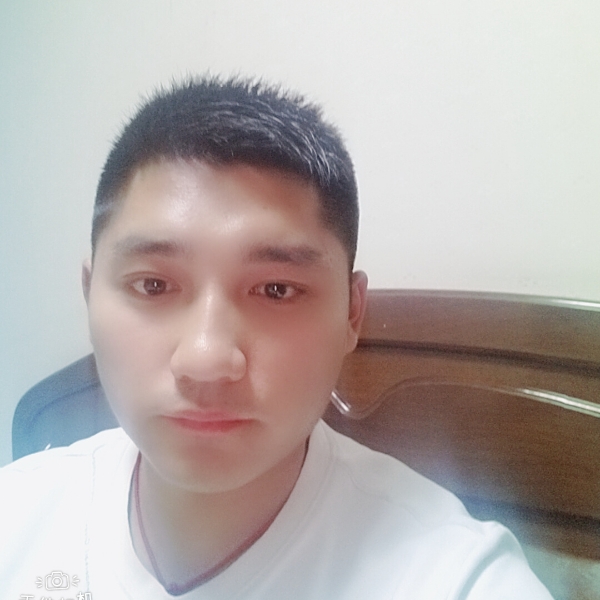 热心的小蚂蚁的照片