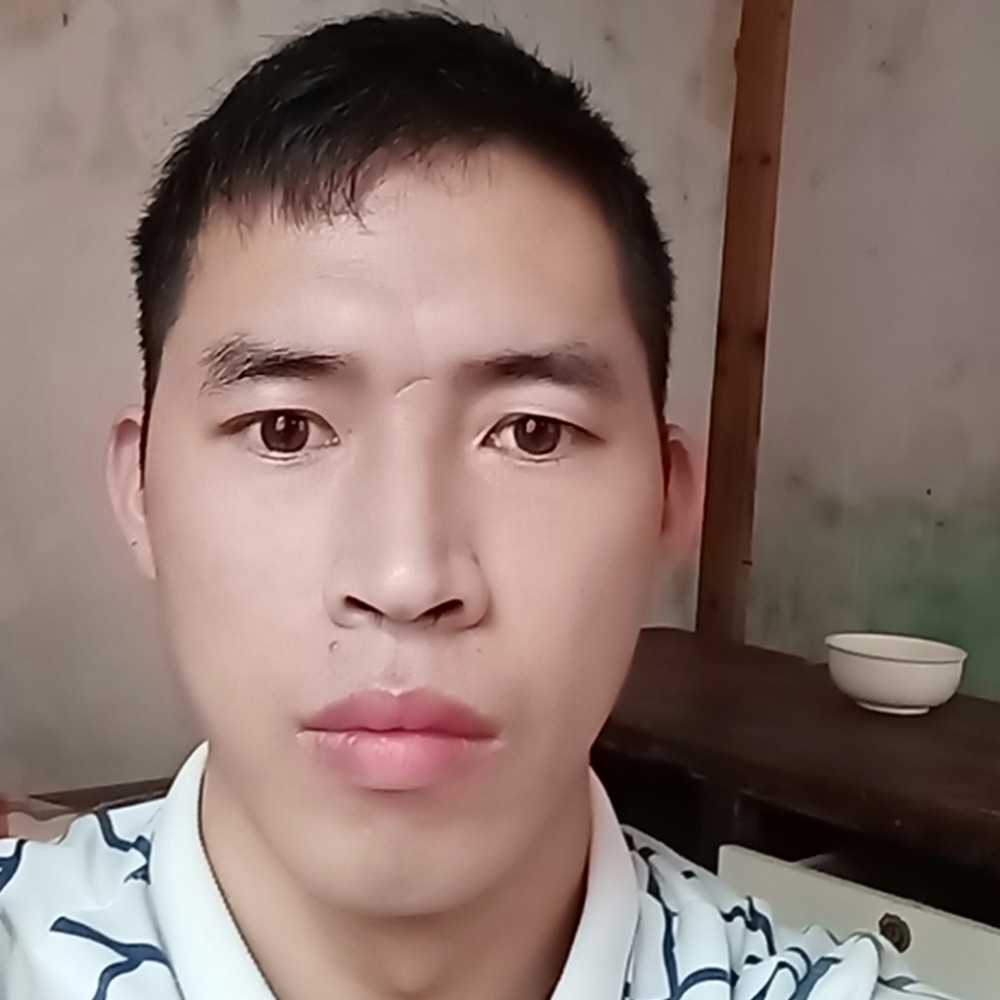 光亮树叶的照片