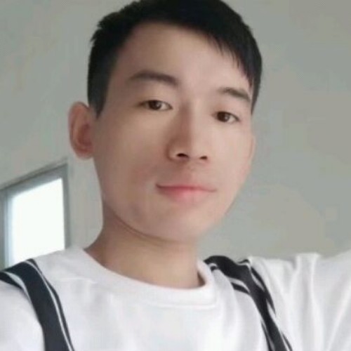 翱翔飞行的照片